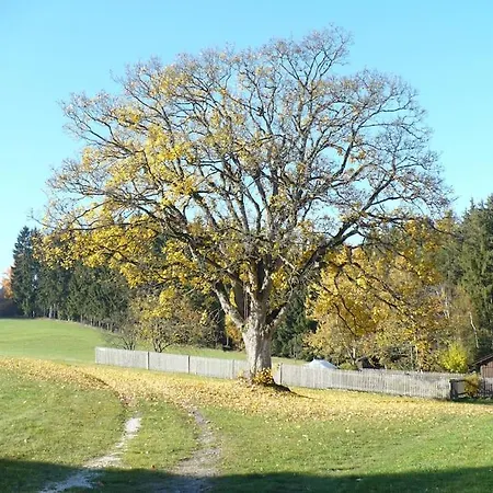 アパート Stoehrmuehle Pullenreuth
