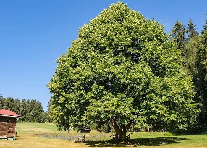 Stoehrmuehle